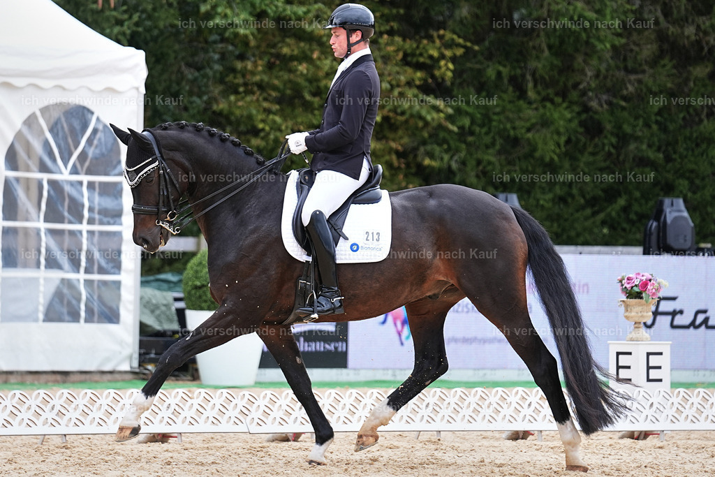 3-213-Dressur M_-Marixx-2002 | working equitationturnier fotograf videograf stoibphotography marixx film working equitation deutschland reitsport turnierfotografie eventfotografie equestrian events