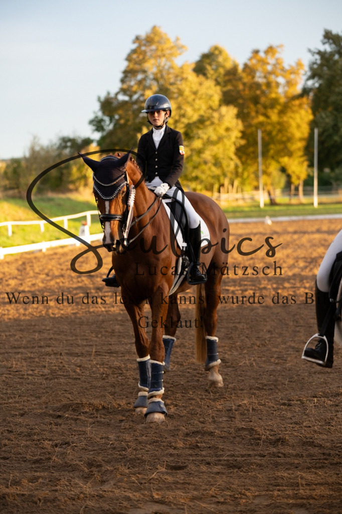 A7V06163 | Pferdefotograf