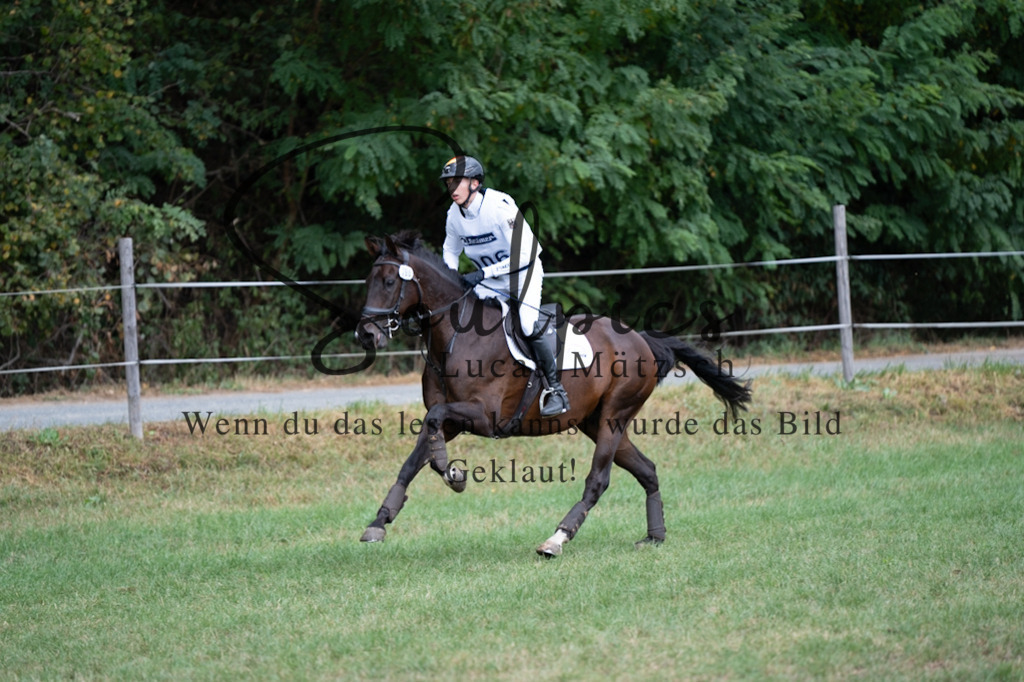 A7V00501 | Pferdefotograf