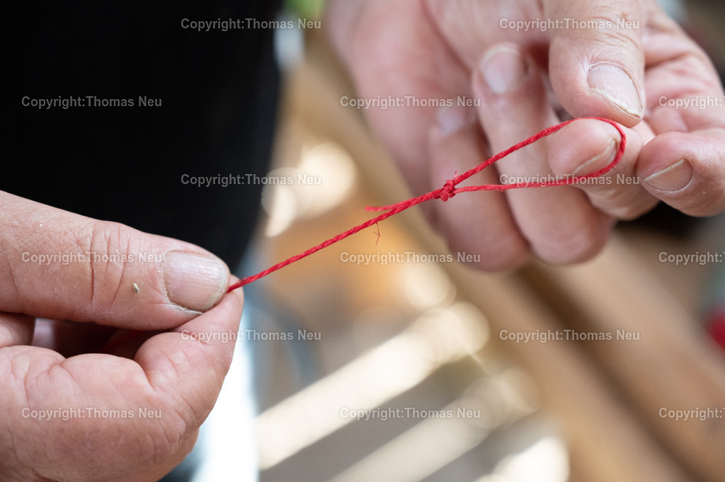 Lorsch_Tabakernte-46 | 23.08.2025, Lorsch, Tabakscheune, die Tabakernte wird zum Trockenen verarbeitet, Bild: Eva-Maria Eberle, und Gudrun Gallei, ,, Bild: Thomas Neu