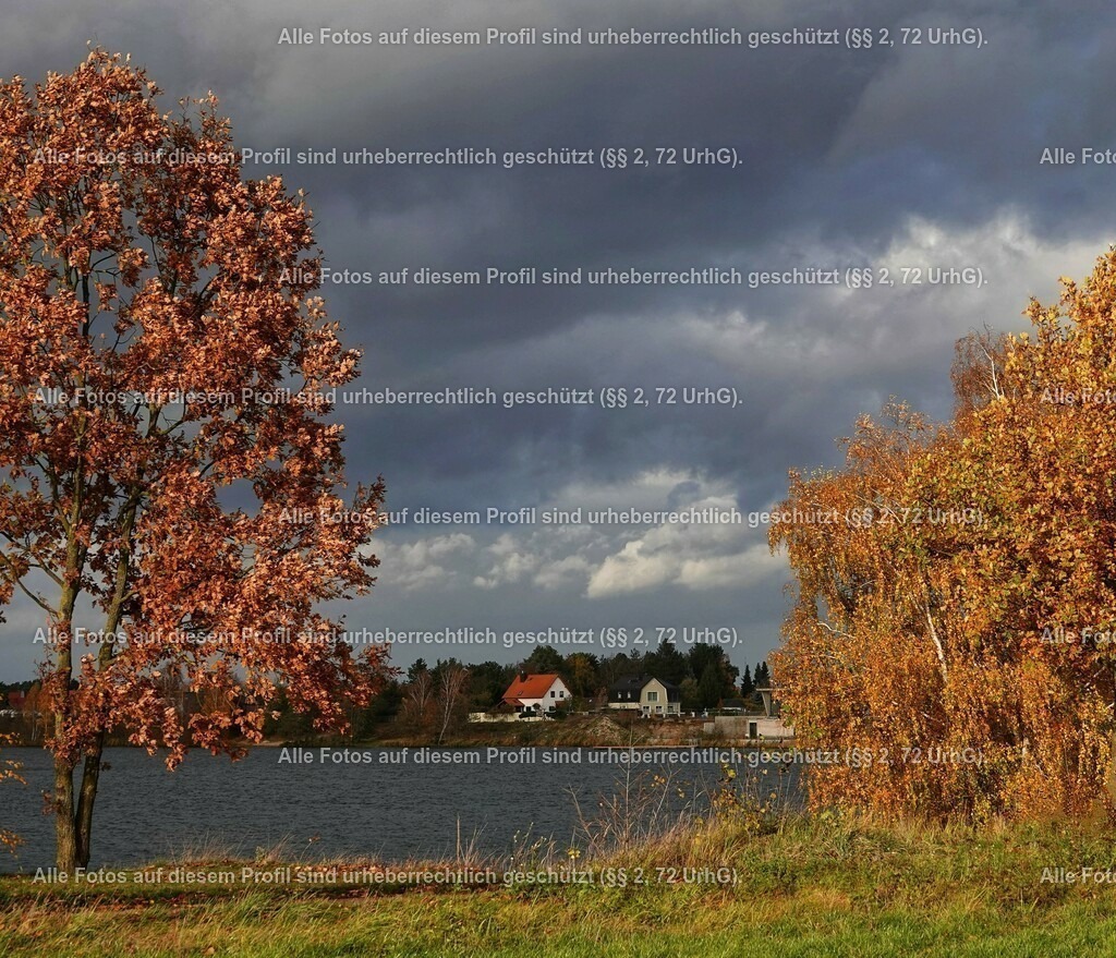 BMF00568-01_3 | krollfotografie - Realisiert mit Pictrs.com