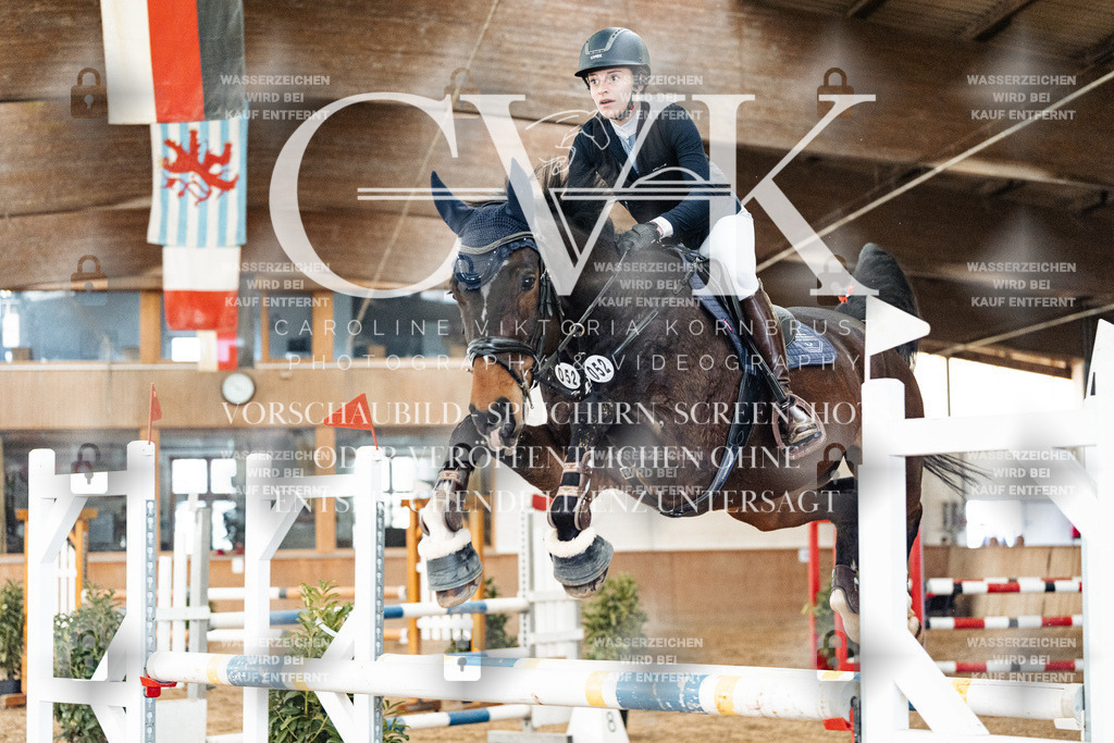 CK906252 | Turnierfotografie Pferdefotografie Trier Rheinland-Pfalz Pferdesport Reitsport Tierfotografie Sportfotografie Pferdevideo Pferdevideografie Equestrianvideography equestrianphotography  - Realized with Pictrs.com