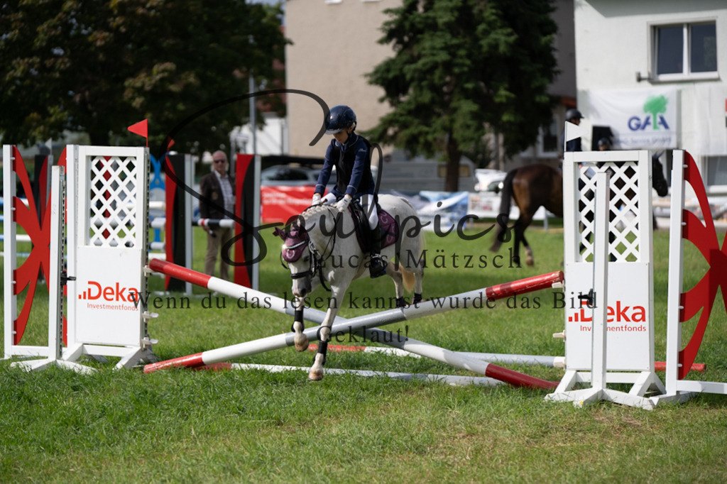 A7V03890 | Pferdefotograf