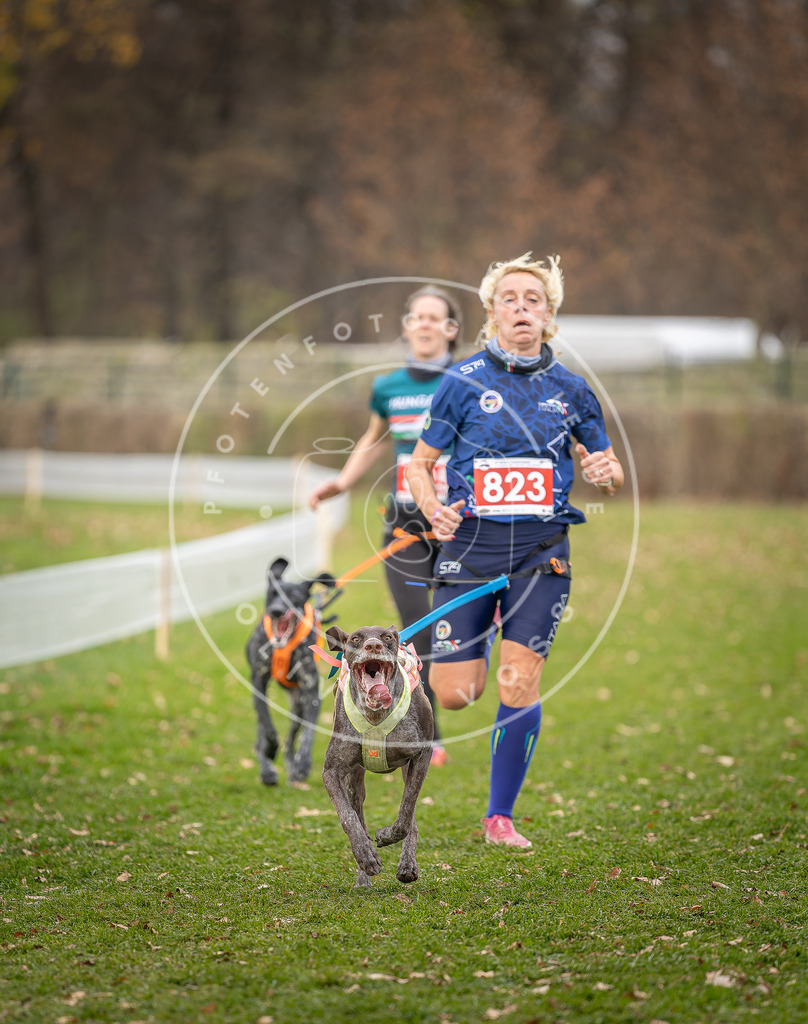 CaniXpix_DV3A6420 | Hundefotografie, Tierfotograf, Pfotenfotografie, Fotoshooting Hund, Hunde Portrait, Hundesport, Hundeportraits, Heideshooting, Hunde, Sportfotograf, Hundefotograf, Turnierhundsport, THS,  - Realisiert mit Pictrs.com