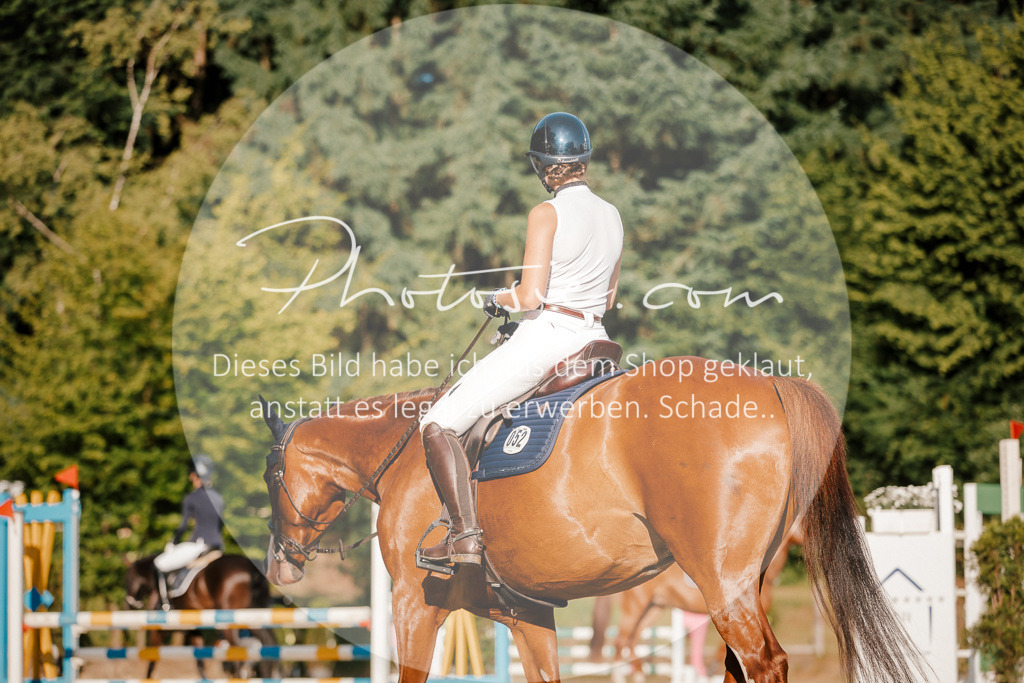 3I6A6008 | Stimmungsvolle Portraits und Reitsportfotografie im Ruhrgebiet und im Münsterland.

Pferdefotografie, Hundefotografie, Tierfotografie, Reportagen, Portraits von Tier und Mensch, Turnierfotografie in Bochum, Recklinghausen, Marl, Haltern am See, Dülmen.. - Realisiert mit Pictrs.com