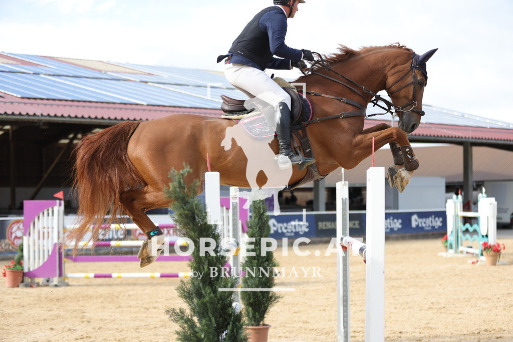 0P6A9008 | Willkommen bei Brunnmayr - Design & Fotografie – Ihrem Spezialisten für Reitturniere und Pferdeveranstaltungen in Oberösterreich, Salzburg und Bayern! Seit über 17 Jahren sind wir leidenschaftlich dabei.