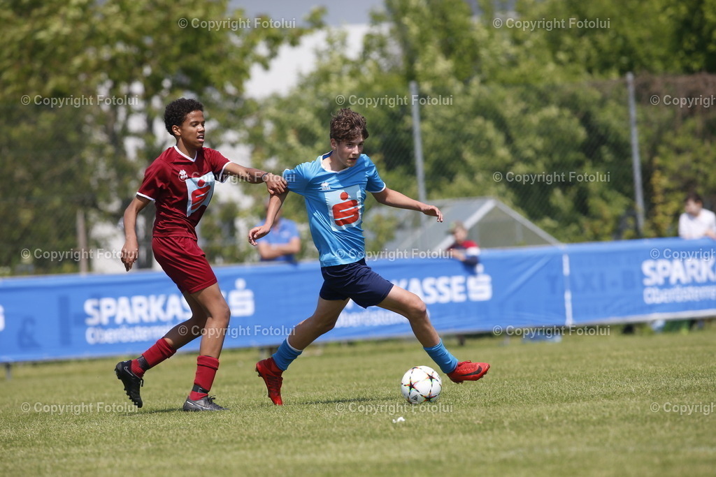 _UI10366 | bilder, linz, photo, foto, fussball, sport, fotolui, bundesliga