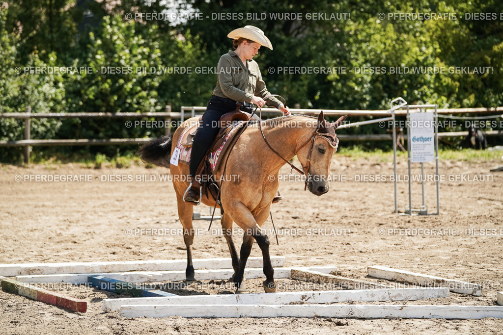 DSC06638 | Pferdegrafie