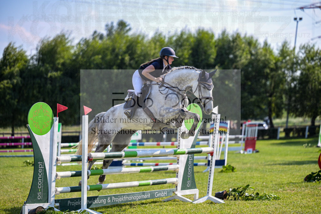 Reitturnier Voxtrup | Entdecke hochwertige Reitturnierfotos von Foto Oger. Professionell, emotional und authentisch – jetzt Lieblingsmomente im Shop bestellen.Deutschlandweite Turnierfotografie. - Realisiert mit Pictrs.com