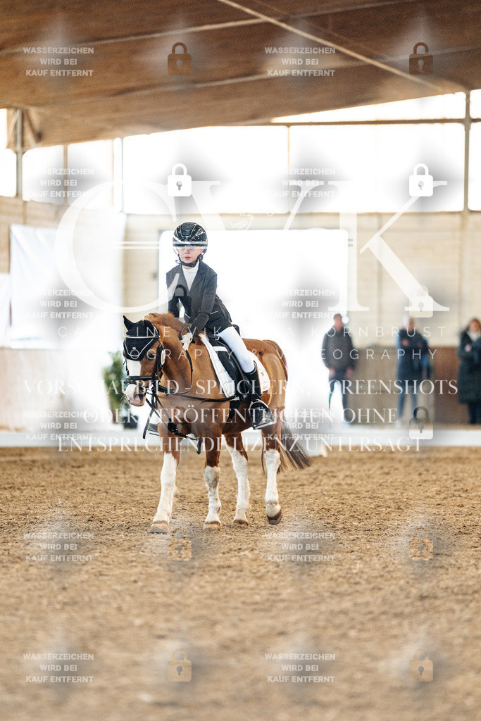 CK907336 | Turnierfotografie Pferdefotografie Trier Rheinland-Pfalz Pferdesport Reitsport Tierfotografie Sportfotografie Pferdevideo Pferdevideografie Equestrianvideography equestrianphotography  - Realisiert mit Pictrs.com