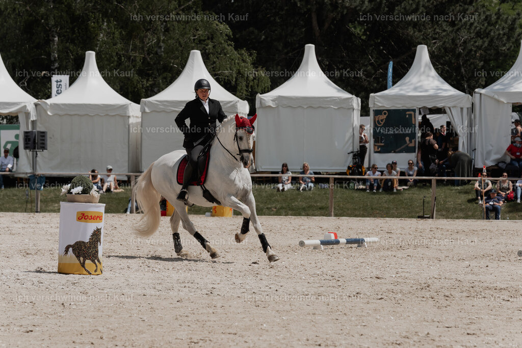 WE_ST_Stoib_307_PI2025_1163 | Pferd International München 2025