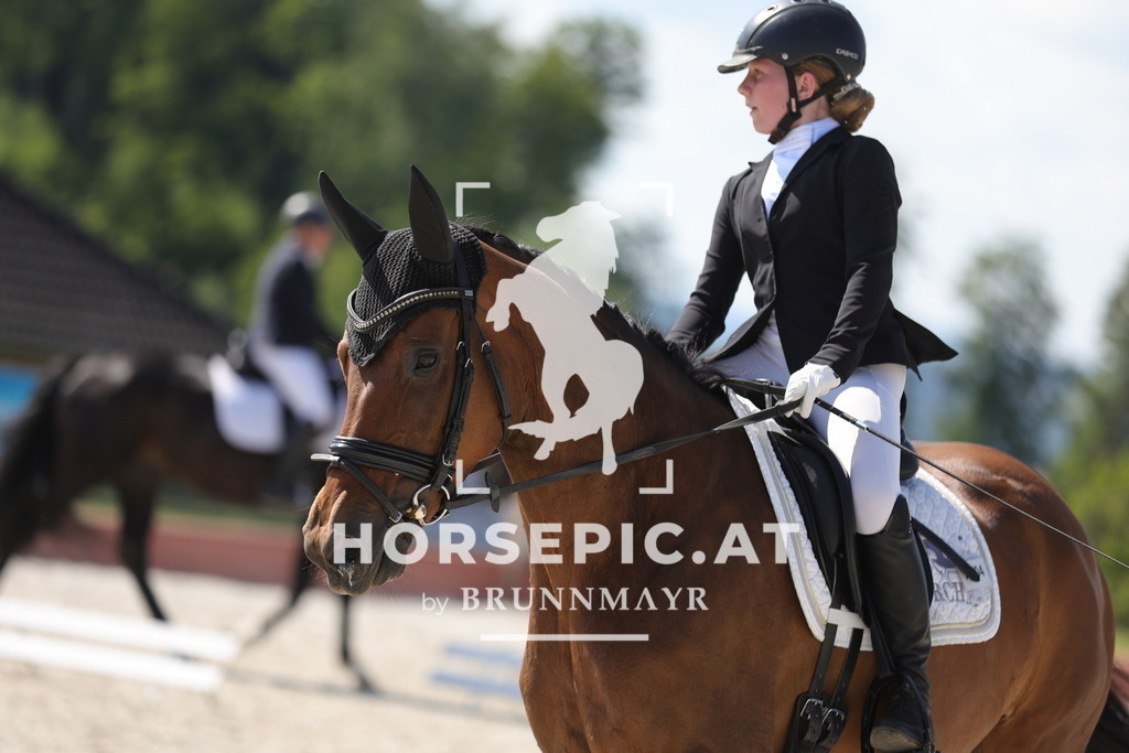 0P6A7712 | Willkommen bei Brunnmayr - Design & Fotografie – Ihrem Spezialisten für Reitturniere und Pferdeveranstaltungen in Oberösterreich, Salzburg und Bayern! Seit über 17 Jahren sind wir leidenschaftlich dabei.