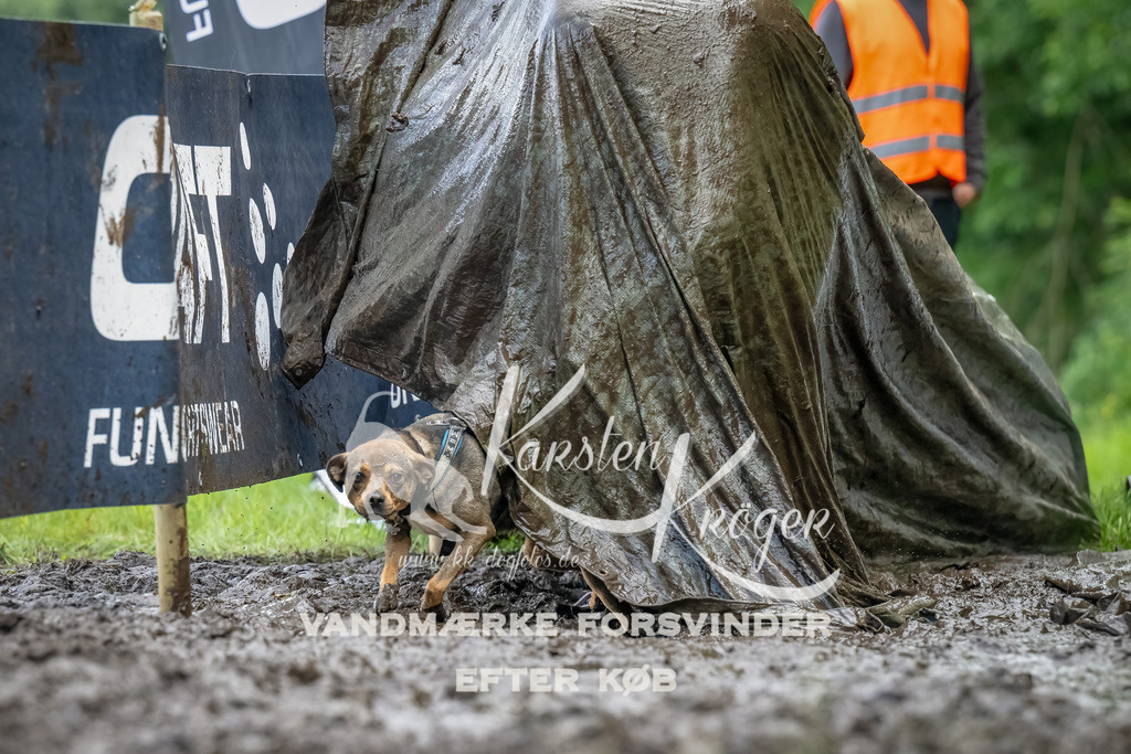1152_ZZ94648-Bearbeitet | kk-dogfotos