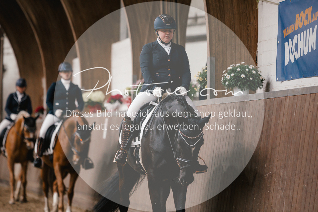 3I6A7130 | Stimmungsvolle Portraits und Reitsportfotografie im Ruhrgebiet und im Münsterland.

Pferdefotografie, Hundefotografie, Tierfotografie, Reportagen, Portraits von Tier und Mensch, Turnierfotografie in Bochum, Recklinghausen, Marl, Haltern am See, Dülmen.. - Realisiert mit Pictrs.com
