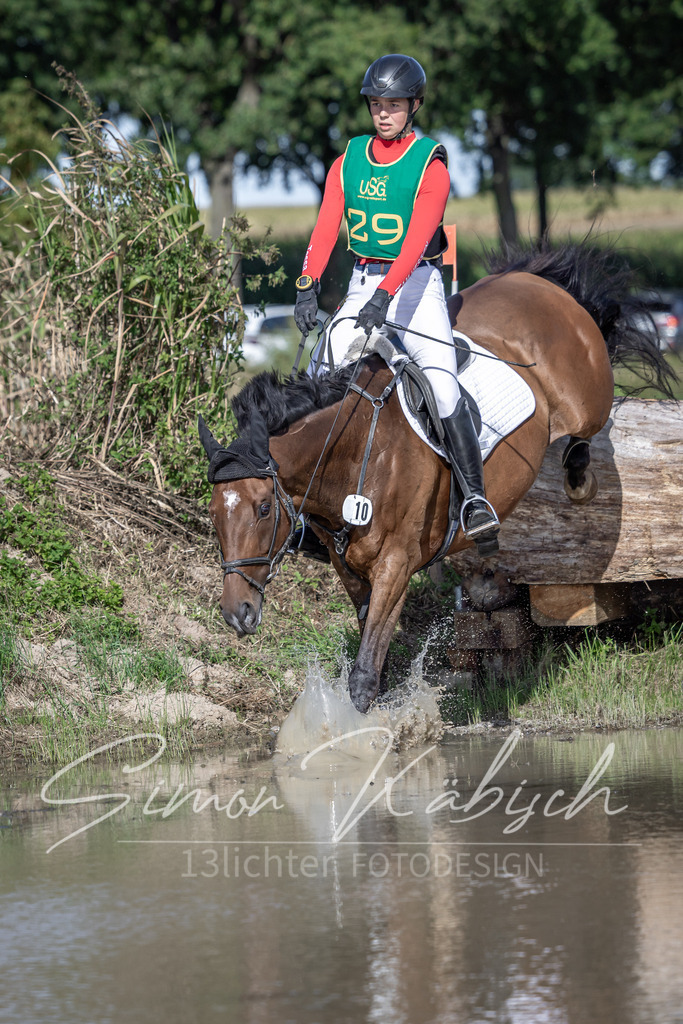 20250907-_3LI3039 | Tierfotografie Pferde, Hunde, Katzen, Haustiere.
Turnierfotografie Reitturniere, Reiten, Springreiten, Dressur in Hanau, dem Main-Kinzig-Kreis und dem Rhein-Main- Gebiet um Frankfurt