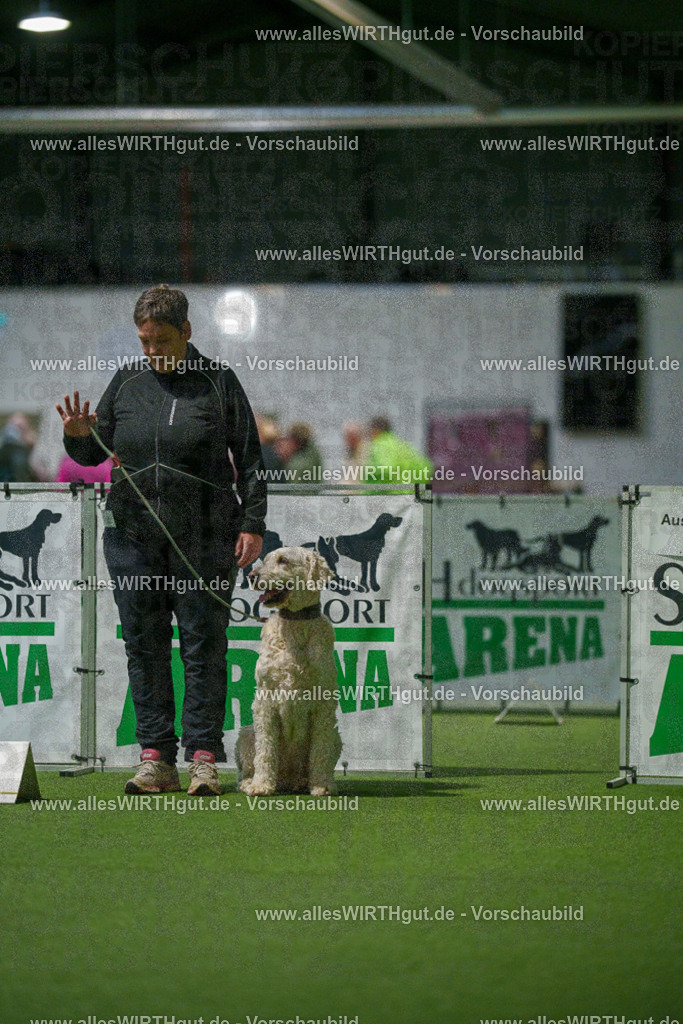 7R504255 | Professionelle Tierfotografie in Mönchengladbach von Daniel Wirth (allesWIRTHgut). Liebevolle & natürliche Bilder von Hunden & Katzen für unvergessliche Erinnerungen.