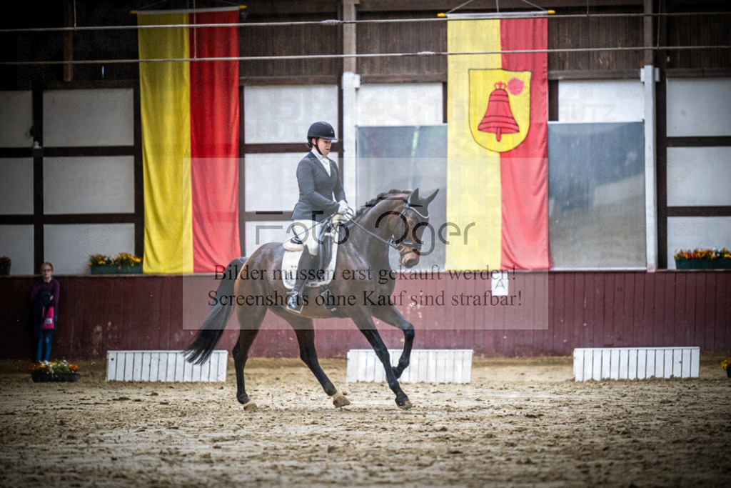 DOS_1395 | Reitturnier Lüdinghausen - Realisiert mit Pictrs.com