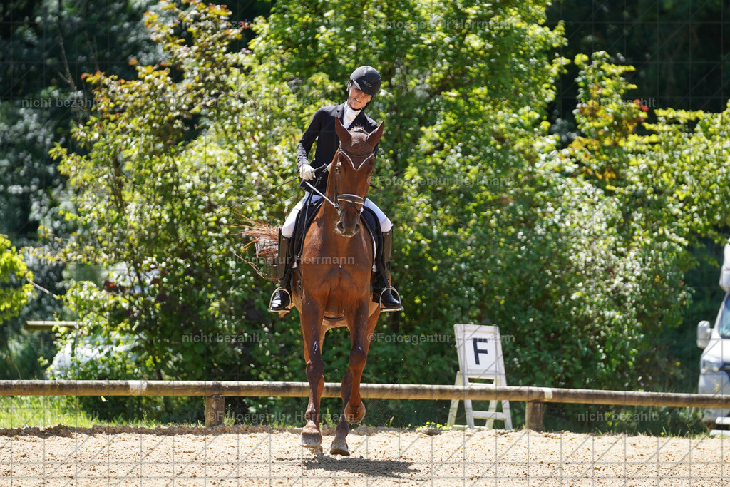 20240705-FAH04222 | Turnierbilder von Grafing, Reitsportbilder, Turnierfotos, Turnierfotografen Bayern, Pferdefotograf, Fotoagentur Herrmann