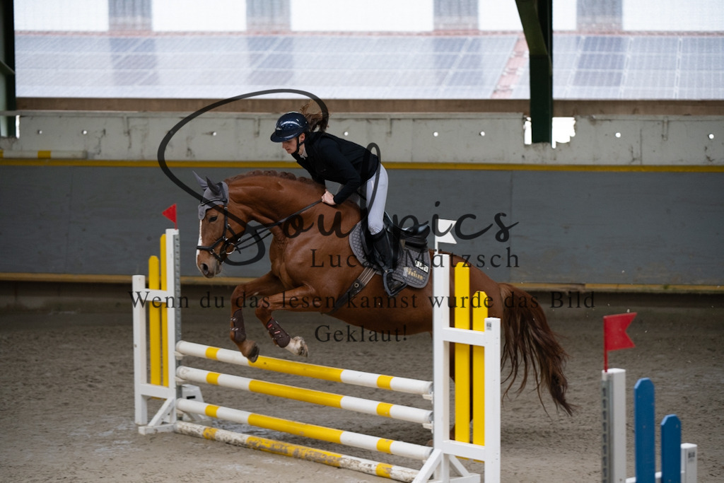 A7V01054 | Pferdefotograf