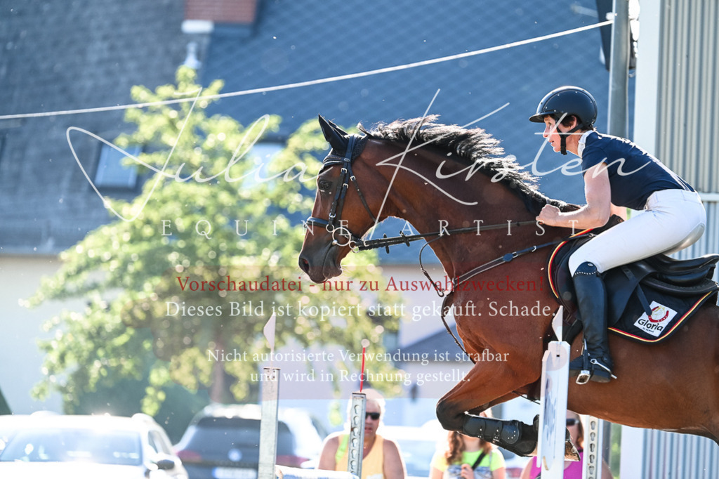 DSC_2707 | Pferde- und Turnierfotografie in Westsachsen. Pferdeportraits, Auftragszeichnungen und intuitive Kunst.