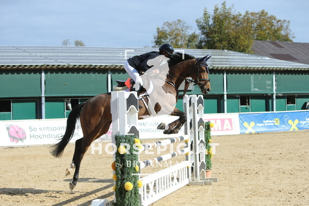 DL2Q4708 | Willkommen bei Brunnmayr - Design & Fotografie – Ihrem Spezialisten für Reitturniere und Pferdeveranstaltungen in Oberösterreich, Salzburg und Bayern! Seit über 17 Jahren sind wir leidenschaftlich dabei.
