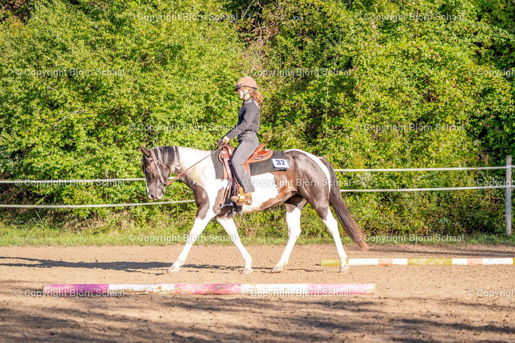 SAL02418 | BS-foto