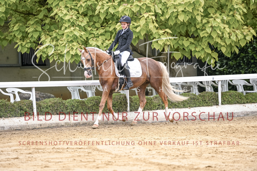 Schugtsche-Aluta25-42.EDressur -195 | Schugtsche Fotografie - Realisiert mit Pictrs.com