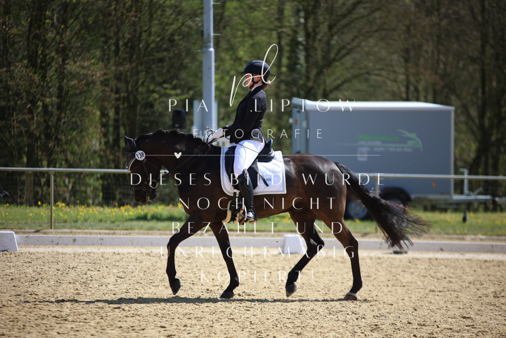 IMGT7300 | pl-fotografie