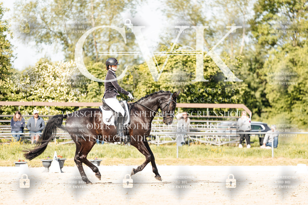 CK900198 | Turnierfotografie Pferdefotografie Trier Rheinland-Pfalz Pferdesport Reitsport Tierfotografie Sportfotografie Pferdevideo Pferdevideografie Equestrianvideography equestrianphotography  - Realisiert mit Pictrs.com