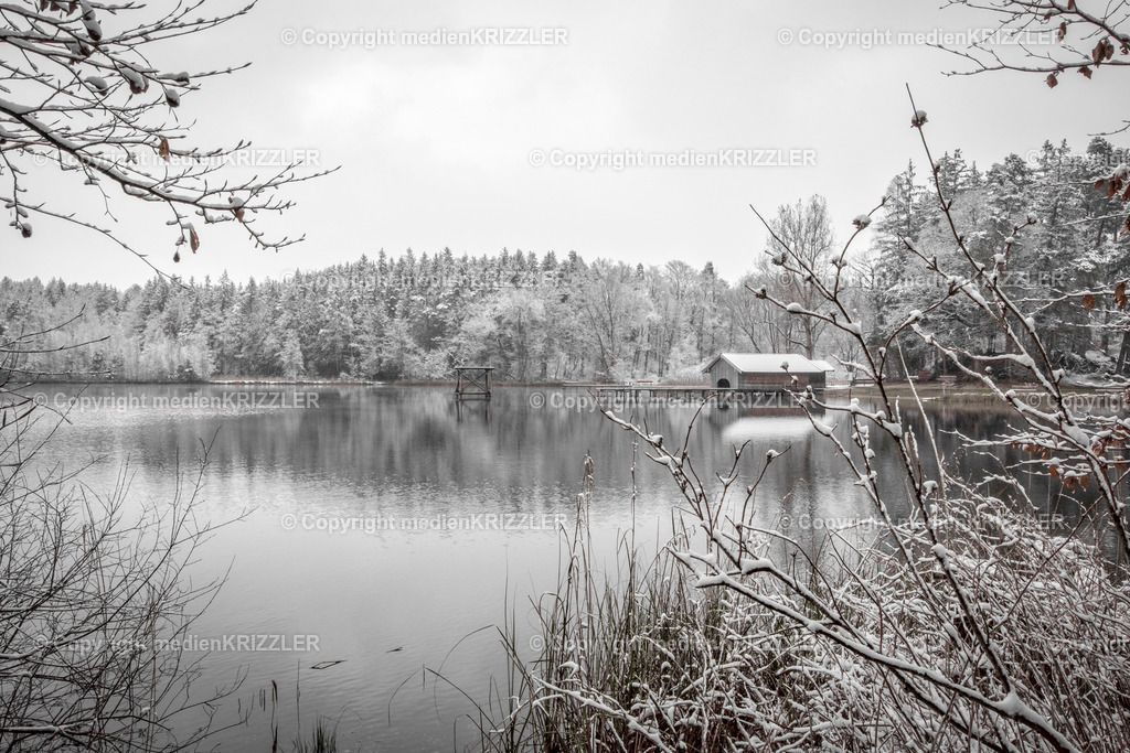 _07A7021 | medienkrizzler - Realisiert mit Pictrs.com