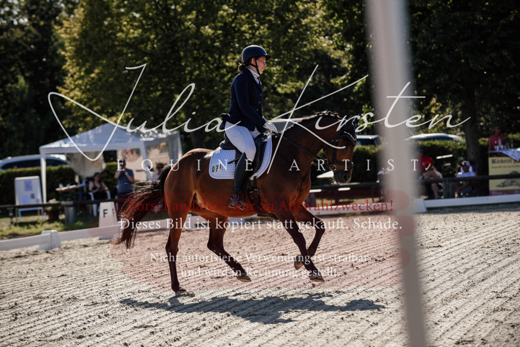 DSC_0274 | Pferde- und Turnierfotografie in Westsachsen. Pferdeportraits, Auftragszeichnungen und intuitive Kunst.
