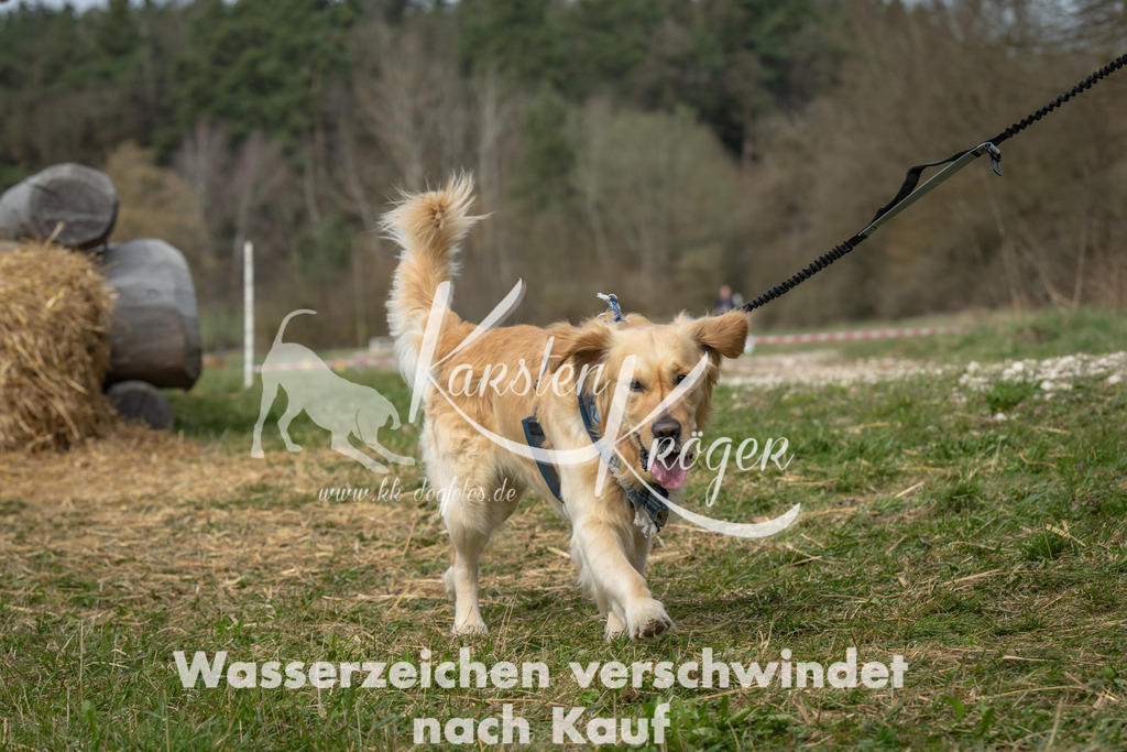 1110_ZZ96357 | kk-dogfotos