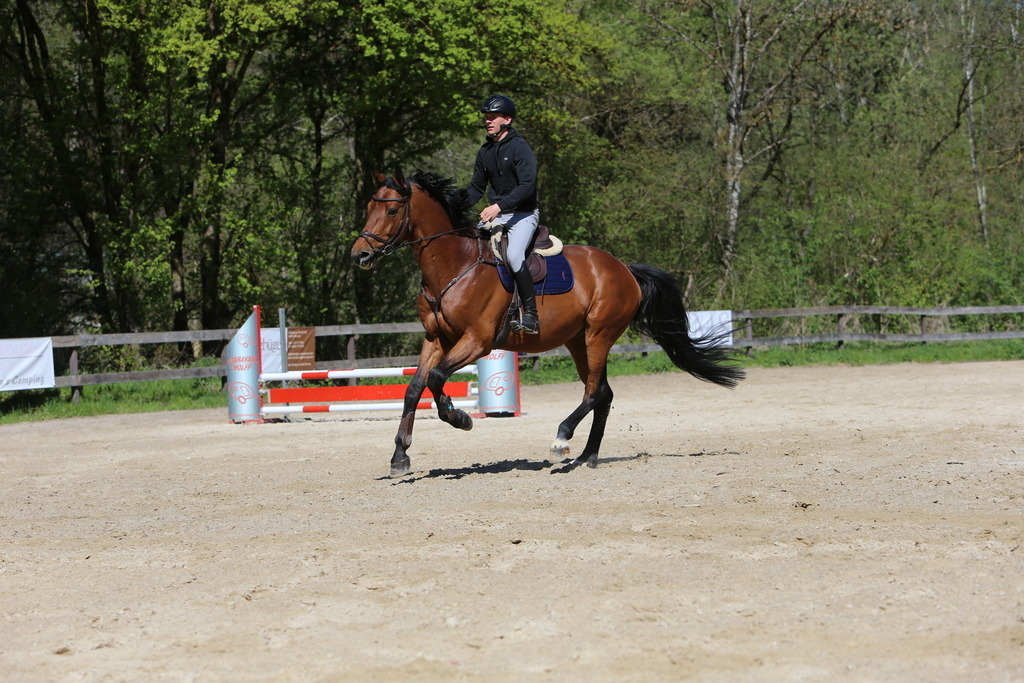 DL2Q3143 | Willkommen bei Brunnmayr - Design & Fotografie – Ihrem Spezialisten für Reitturniere und Pferdeveranstaltungen in Oberösterreich, Salzburg und Bayern! Seit über 17 Jahren sind wir leidenschaftlich dabei.