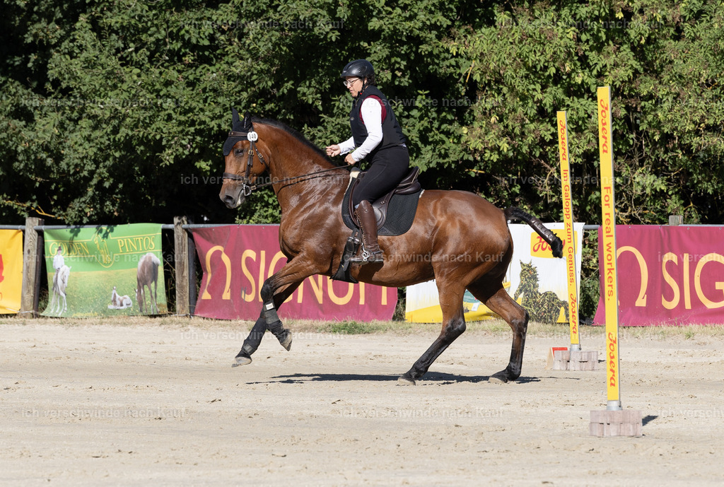 WL_Speed_140_KerstinBernhardt-2 | working equitationturnier fotograf videograf stoibphotography marixx film working equitation deutschland reitsport turnierfotografie eventfotografie equestrian events