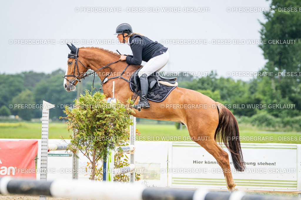 DSC02593 | Pferdegrafie