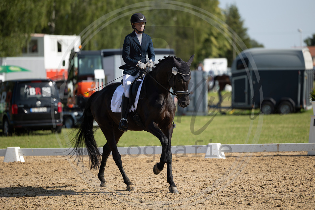 994A4254 | sabrinanicolaifotografie - Realisiert mit Pictrs.com