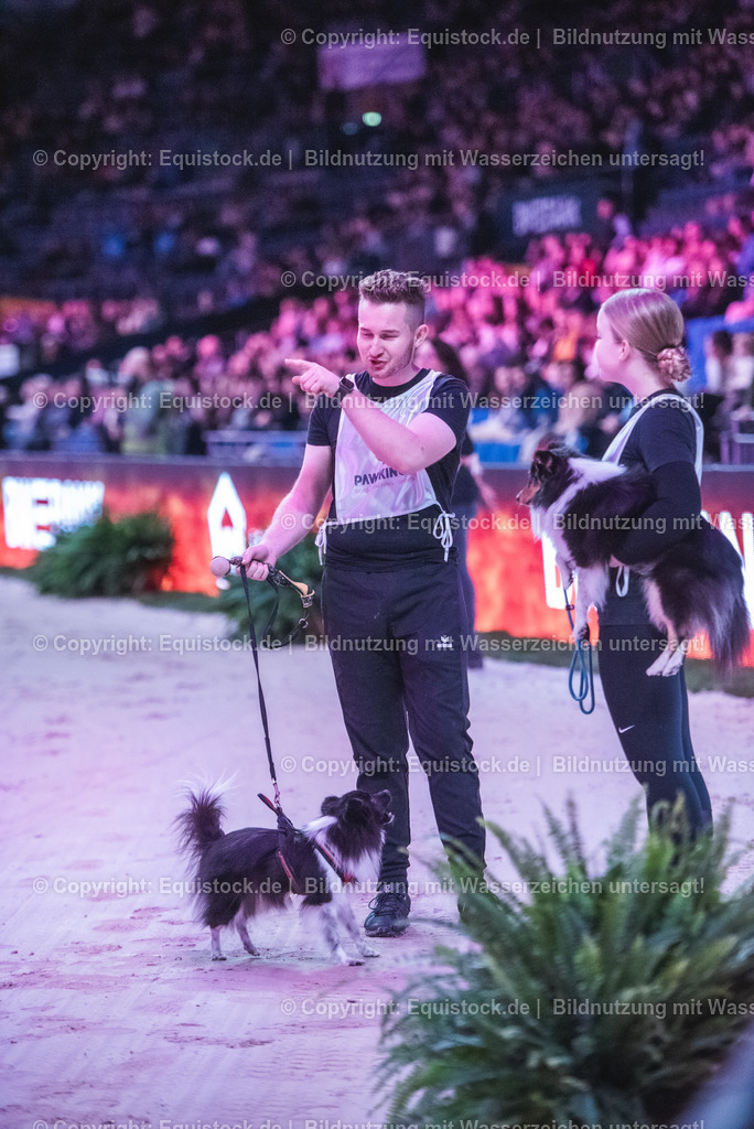 20241113_Showabend_TOMsPiC_0298 | Foto: Thomas Hartig