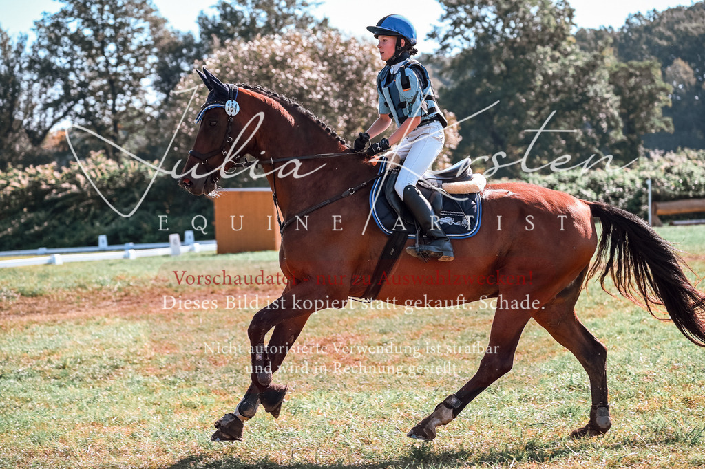 DSC_0814 | Pferde- und Turnierfotografie in Westsachsen. Pferdeportraits, Auftragszeichnungen und intuitive Kunst.