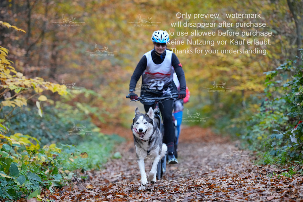 Scooter_So-65 | stephaniefillaphotographie - Realisiert mit Pictrs.com