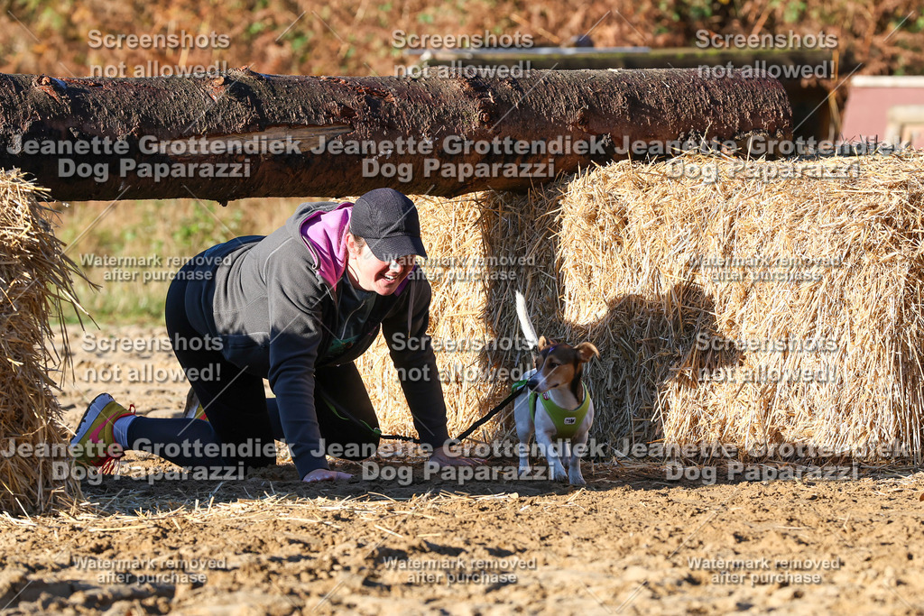 Dog Paparazzi - Strongdog 10-25-1277 | Dog Paparazzi Jeanette Grottendiek Fotografie & Videografie - Realisiert mit Pictrs.com