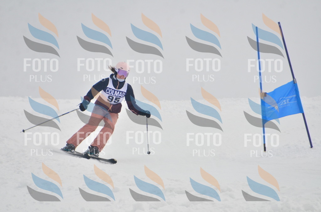 A5794 | holidayphoto