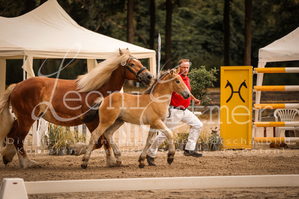 SaSF00056 | Leoni Ertmer Photography - Realisiert mit Pictrs.com