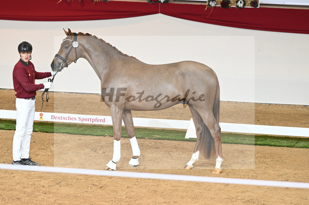 Kat-Nr. 79 Viva Gold_Limbecker GmbH_1230566 | hf-fotografie - Realisiert mit Pictrs.com