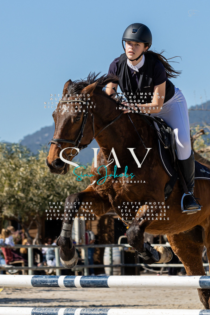 IMG_9308 | s-jay-photography - Realisiert mit Pictrs.com