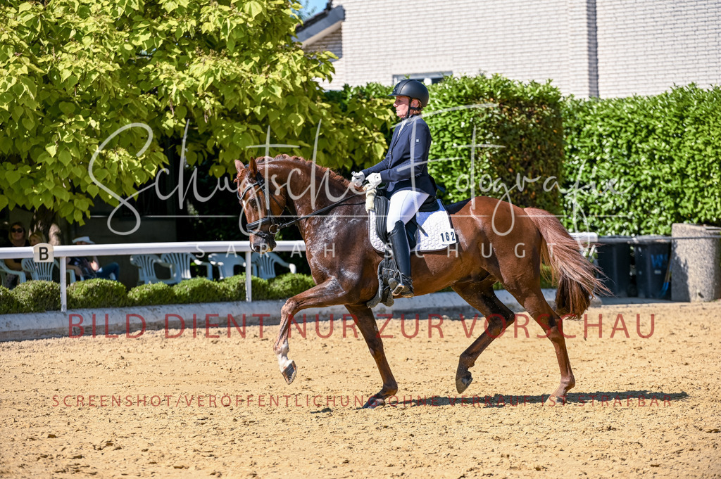 Schugtsche-Aluta25-50.Dressurpferdeprf.L-92 | Schugtsche Fotografie - Realisiert mit Pictrs.com
