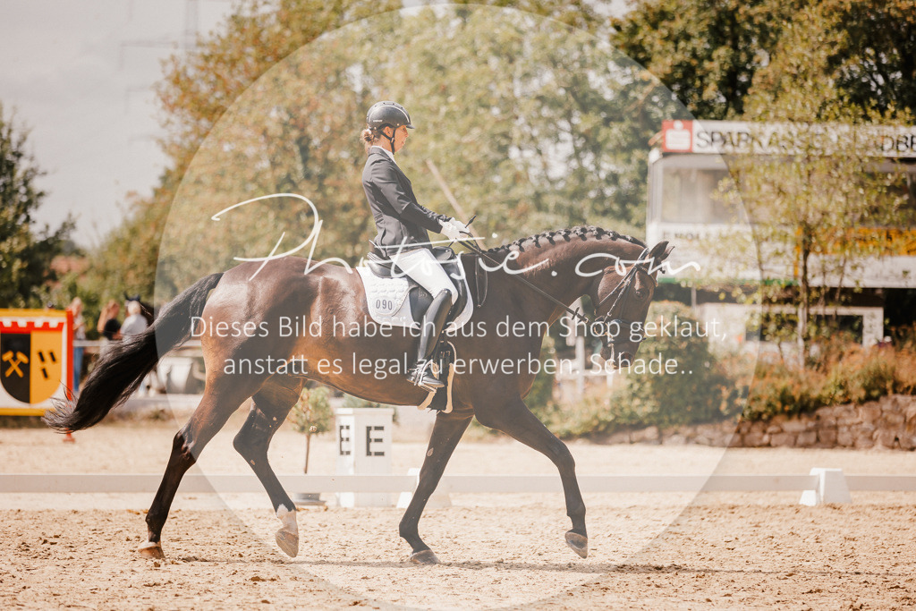 3I6A6114 | Stimmungsvolle Portraits und Reitsportfotografie im Ruhrgebiet und im Münsterland.

Pferdefotografie, Hundefotografie, Tierfotografie, Reportagen, Portraits von Tier und Mensch, Turnierfotografie in Bochum, Recklinghausen, Marl, Haltern am See, Dülmen.. - Realisiert mit Pictrs.com