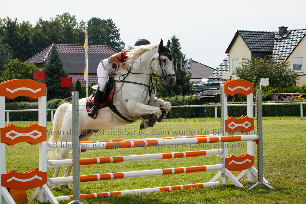 IMG_2949 | P. Berger Fotografie - Realisiert mit Pictrs.com