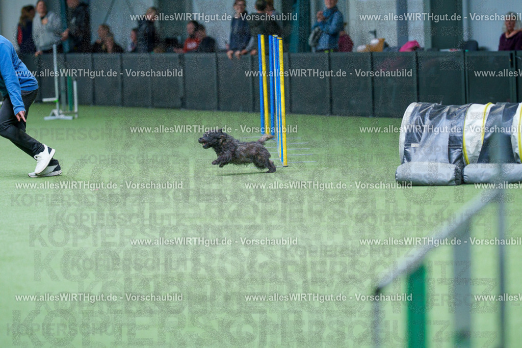 @allesWIRTHgut_Tierfotografie - www.allesWIRTHgut.de - 2604251128-7R500731 | Professionelle Tierfotografie in Mönchengladbach von Daniel Wirth (allesWIRTHgut). Liebevolle & natürliche Bilder von Hunden & Katzen für unvergessliche Erinnerungen.