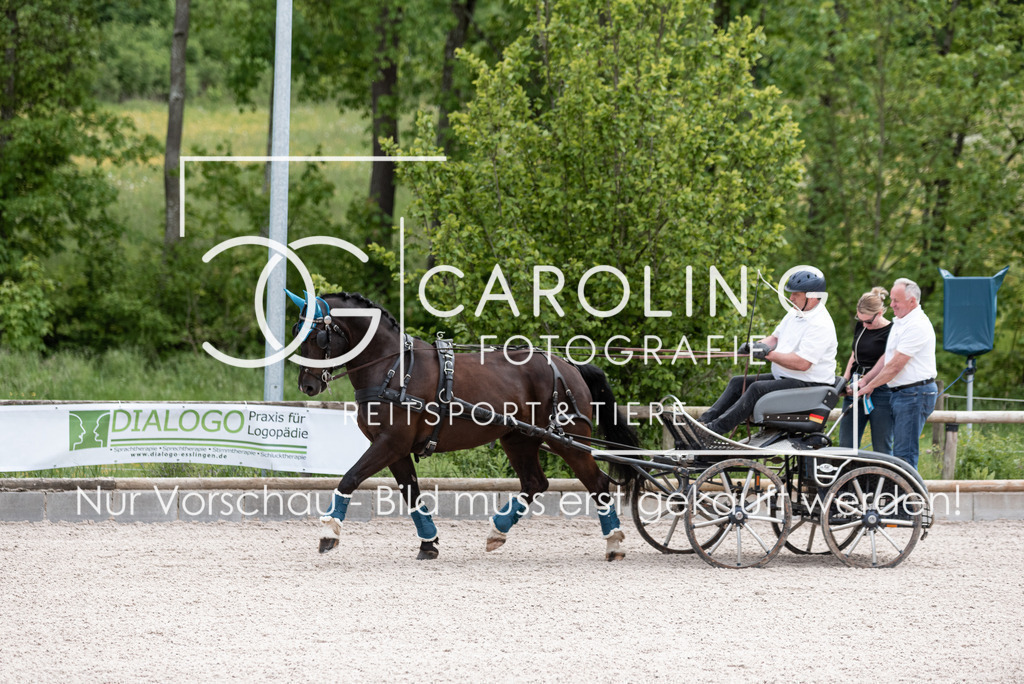 DSC_1028 | Turnierfotografin Carolin Gieschke, Turnierfotografie Carolin G Fotografie, Turnierfotos Kirchheim/Teck, Esslingen, Stuttgart, Bodenseekreis