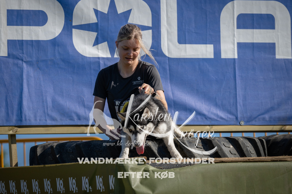 1002_ZZ97270 | kk-dogfotos
